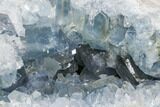 Celestine (Celestite) Geode ( Lbs) - Large Crystals! #106691-3